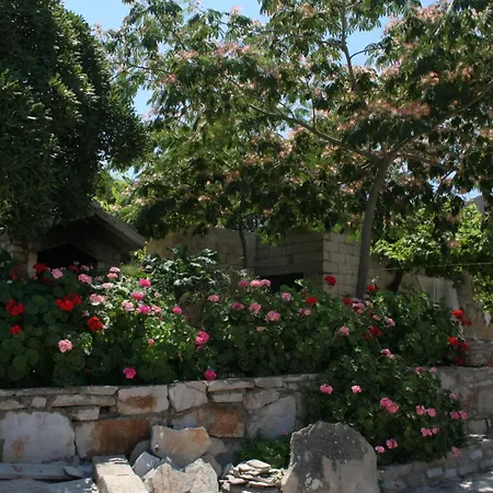 By The Sea Cove Zarace - Gdinj, Hvar - 4596 Lejlighed Gdinj