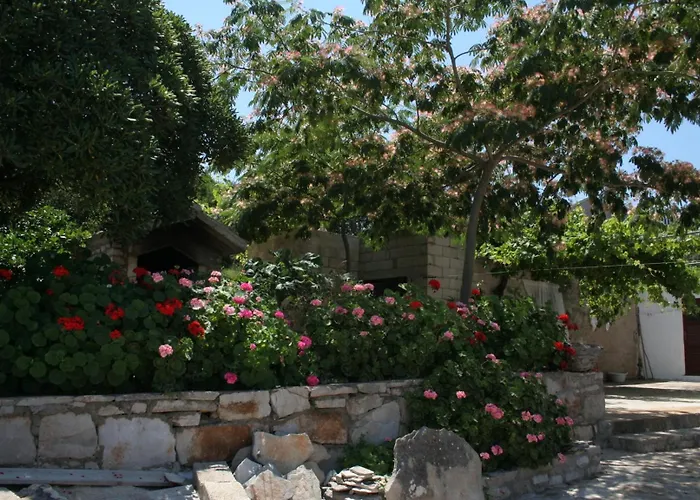 By The Sea Cove Zarace - Gdinj, Hvar - 4596 Lejlighed Gdinj